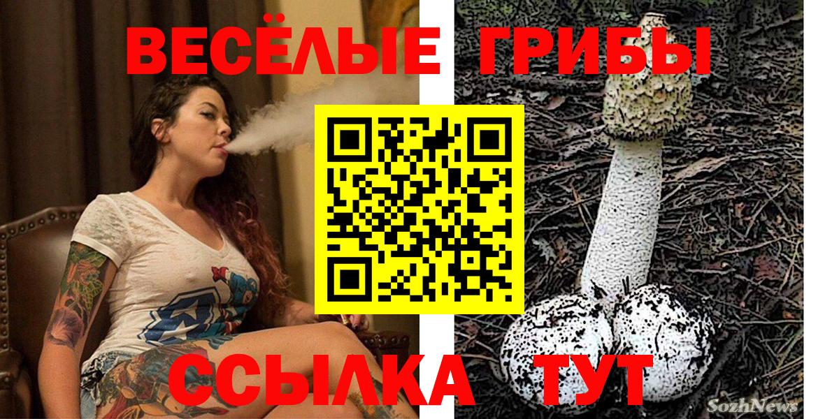 Казань  Галлюциногенные грибы мухоморы  Псилоцибиновые грибы Psilocybine cubensis  Вход с VPN 